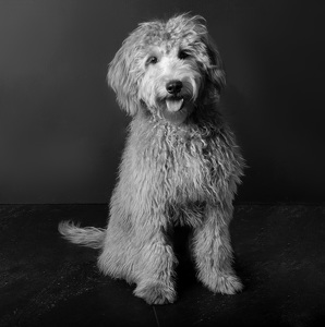 Fundraising Page: Rory Warren